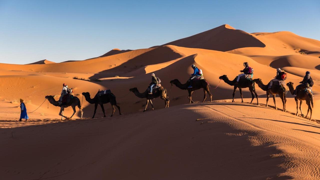 Camp Under Stars (Adults Only) Merzouga Dış mekan fotoğraf
