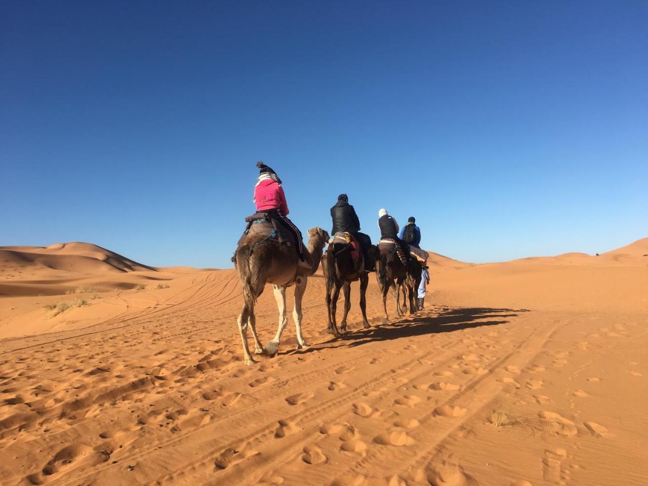 Camp Under Stars (Adults Only) Merzouga Dış mekan fotoğraf